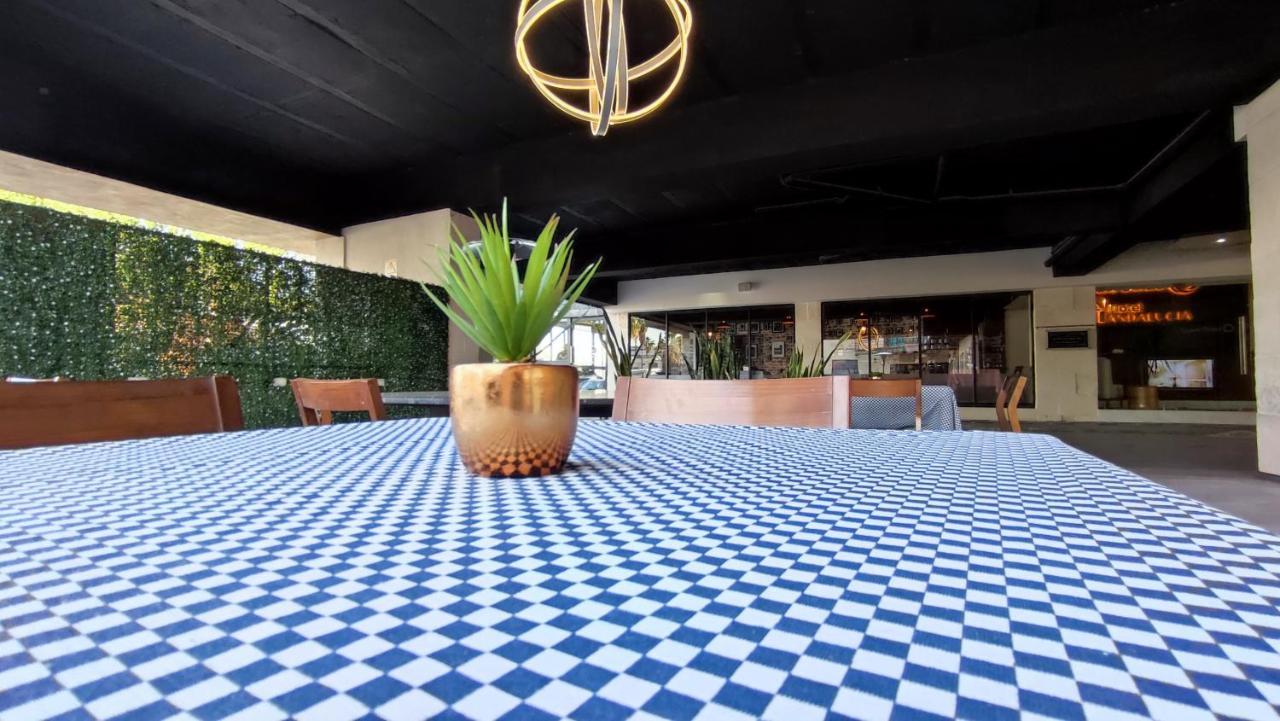 Hotel Andalucia Torreón Extérieur photo